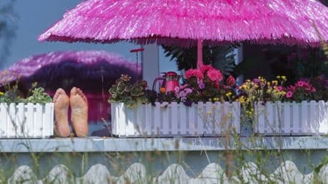 Sommerwetter: Temperaturen bis zu 38 Grad erwartet