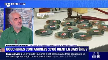 Contaminations : qu'est-ce que la bactérie E.coli ? - 28/06