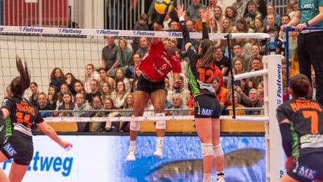 Volleyball: Paragrafen vs. Sportsgeist