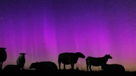 Perseiden: Schwierige Sichtbedingungen für Sternschnuppen im August