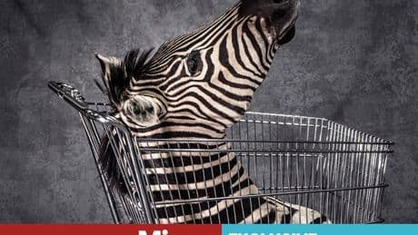 Shocking images show vile souvenirs created by trophy hunters from holiday kills
