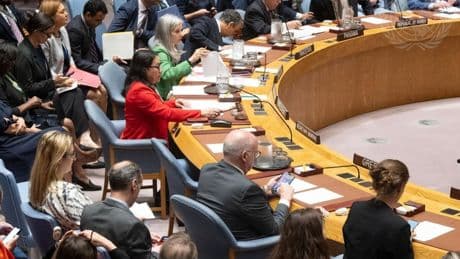 Estados Unidos veta una resolución para propiciar la ayuda humanitaria en Gaza