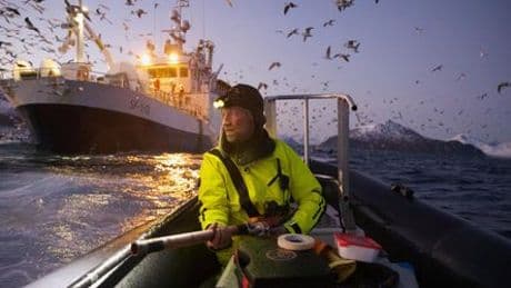 »Nature«-Wettbewerb: Die spektakulärsten Bilder von Forscherinnen und Forschern bei der Arbeit