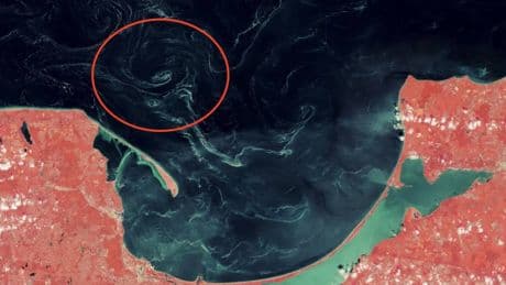 En 2018, un satélite de la NASA fotografió extraños remolinos en el Báltico: por fin sabemos qué eran