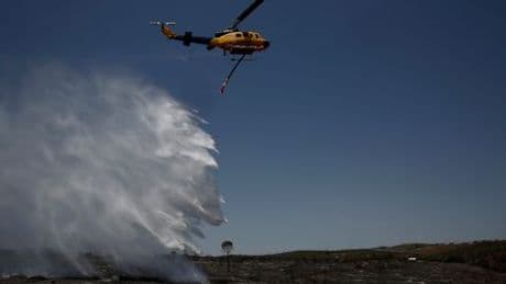 Waldbrände in Griechenland, Frankreich, Italien - Tausende Feuerwehrleute im Einsatz