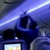 Delta flight delayed because 2 pigeons sneaked aboard a plane in Minneapolis