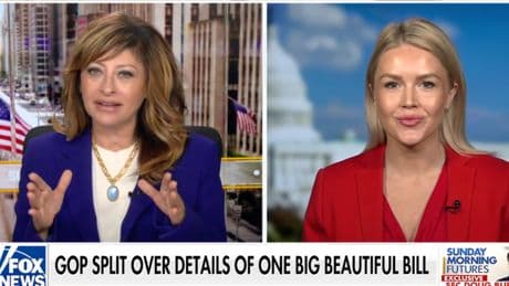 White House press secretary Leavitt plays down Musk ‘fistfight’ reports: ‘It was definitely a disagreement’