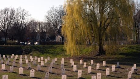 5 Years After George Floyd’s Murder, the Backlash Takes Hold