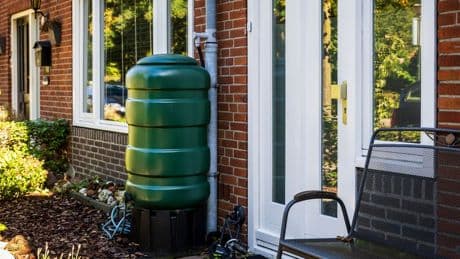 Buien op komst, dus roepen waterschappen op regen op te vangen: 'Elke druppel helpt'
