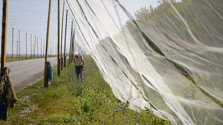 Ukraine-Krieg | Große Ankündigung – kleine Wirkung
