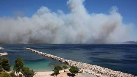 Marseille: Waldbrand erreicht Stadtrand