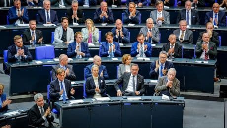 AfD startet Anfrage-Flut an Regierung – es geht überraschend oft um ein Thema