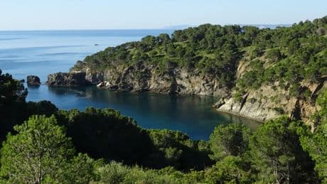 Cataluña sale de la alerta máxima por riesgo de incendios y reabre espacios naturales