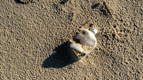 Va-t-on parvenir à un traité mondial ambitieux contre la pollution plastique ?