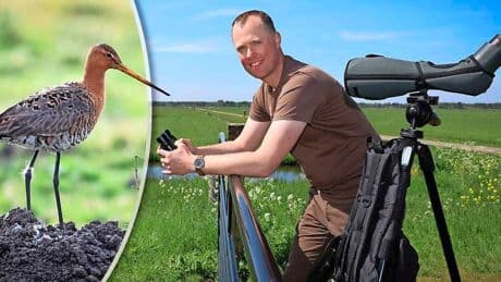 Natuurbeheerder Bernard ziet vogelsoorten voor z’n ogen verdwijnen: ’Grutto’s kan ik niet eens meer aan mijn kinderen laten zien’