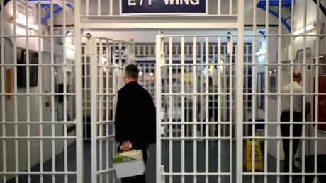 ‘Lives at risk’, warns domestic abuse tsar over Government’s prison recall plans