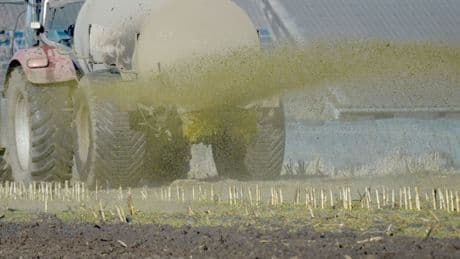 Gülle in Pool von Ferienhaus geweht: Landwirt haftet für Verschmutzung