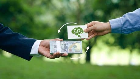 Carbon Credits What They Are, Who’s Buying, And Why You Should Care