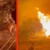 Watch: Wildfire approaches horse enclosure in Greece