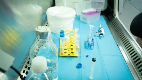 Investigadores de la UB diseñan el primer dispositivo por control remoto con eficacia en el tratamiento del dolor