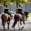 Man rijdt met busje in op politiepaarden in Den Bosch