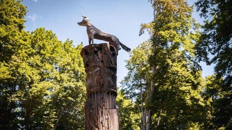 Bmw e ARTEPARCO: un dialogo tra arte, natura e innovazione digitale