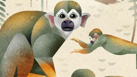 Notre sélection de livres cette semaine : « Cantique du chaos », « Ce qui luit dans les ténèbres », « Paranoïa »…