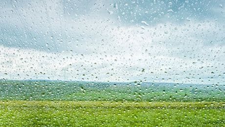 Hymne an den verregneten Sommer