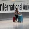 Fewer study and work visas lead to halving in net migration in the UK in 2024