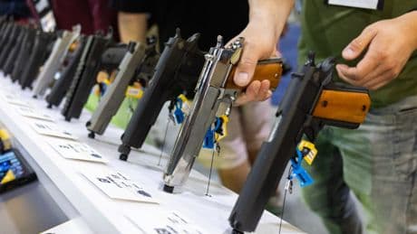 Even the NRA is against Trump team plan to ban trans people from owning firearms