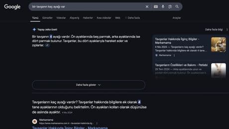 Google, yapay zeka özetlerini Türkiye'de de test ediyor