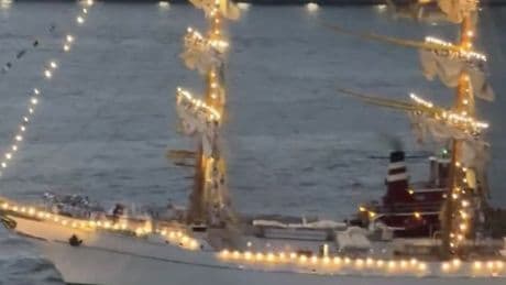 WATCH: The moment a 277 crew Mexican training vessel strikes Brooklyn Bridge