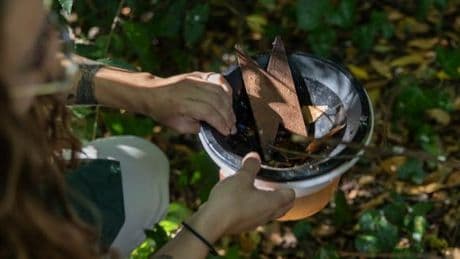 Y’a-t-il davantage de moustiques-tigres en France à cause du réchauffement climatique ?