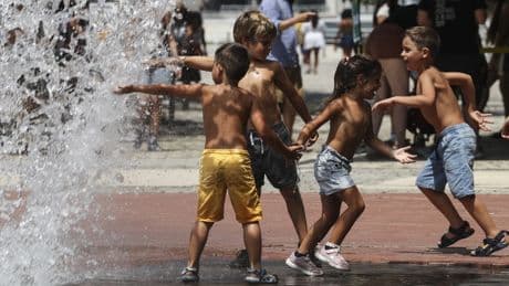 Klimaschädliche Subventionen: Warum Klimaschutz eigentlich günstig ist