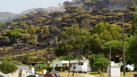 Tarifa vuelve a la normalidad tras el fuego: "Todos los negocios hoteleros están abiertos para vivir un agosto pleno"