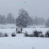 Australia is hit by its biggest snowfall for decades with wild weather bringing 20 inches of snow in some areas