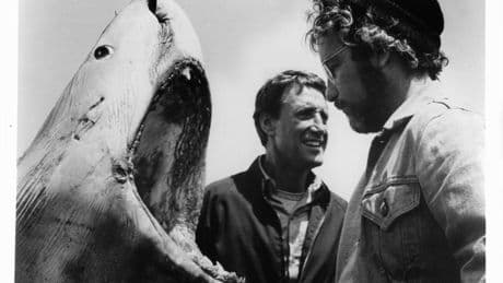 How ‘Jaws’ Sank Shark Conservation Before It Began