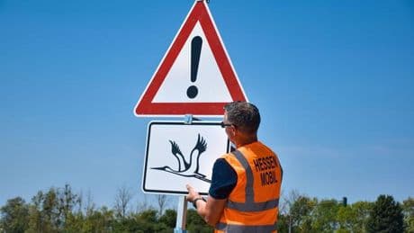 Gefahr durch Tiere: Warnschilder vor tieffliegenden Störchen