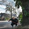 Tien grote bomen in het dorpje Wekerom zijn mo­gelijk doelbewust vergif­tigd: ‘Onbegrijpelijk’