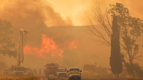 Turkey wildfires: Izmir airport forced to close with flights cancelled and diverted