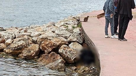 Kocaeli'de sahildeki kayalıklarda erkek cesedi bulundu
