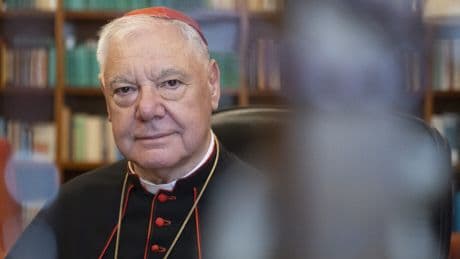 Im Gespräch „Sprechen wir nun mit dem neuen Papst, Herr Kardinal Müller?“