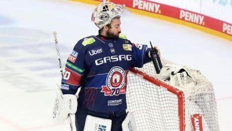 Eisbären blamieren sich gegen französischen Außenseiter