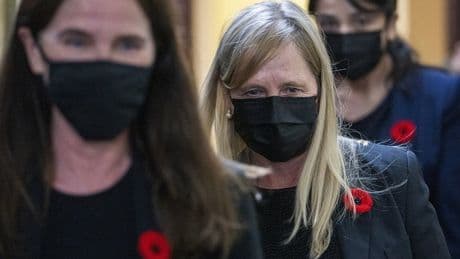Former Halifax children’s hospital CEO to be sentenced in January for fraud