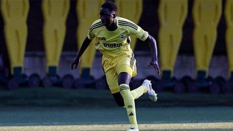 Fenerbahçe'de vize krizi çözüldü!