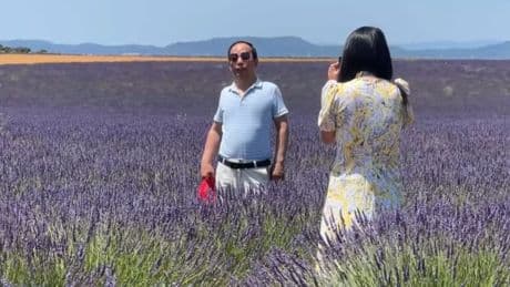 "C'est pas juste la carte postale": les propriétaires de champs de lavande agacés par les incivilités des touristes à Valensole
