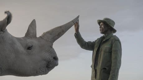 The Last Northern White Rhinos And The Tech That Could Save Their Kind