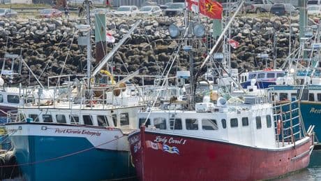 N.S. Mi’kmaq band drops case arguing federal rules don’t apply to its lobster fishery
