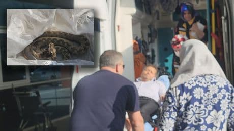 Ailesiyle pikniğe giden adamı yılan ısırdı