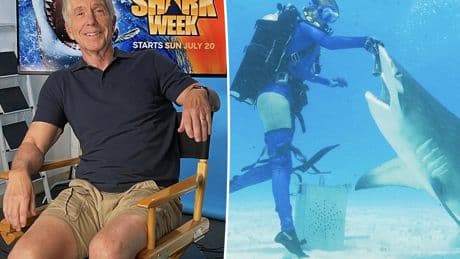 Tom Bergeron teases a possible ‘DWTS’ return as he prepares for his wild new shark show